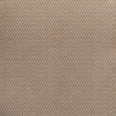 موکت لوپ پالاز آلبوم میخک کد 5466-F