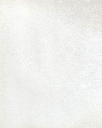 کاغذ دیواری قابل شستشو عرض 50 متفرقه آلبوم اگنس کد 158101