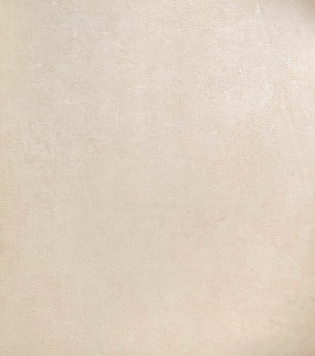 کاغذ دیواری قابل شستشو عرض 50 متفرقه آلبوم اگنس کد 158103