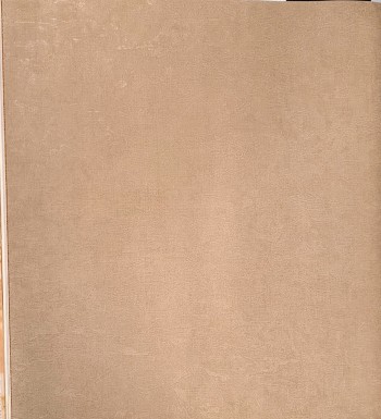 کاغذ دیواری قابل شستشو عرض 50 متفرقه آلبوم اگنس کد 158106