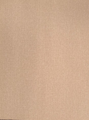 کاغذ دیواری قابل شستشو عرض 50 متفرقه آلبوم اگنس کد 158143