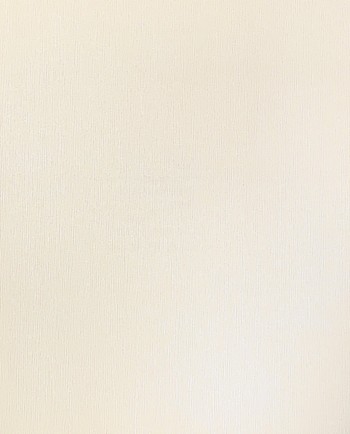 کاغذ دیواری قابل شستشو عرض 50 متفرقه آلبوم فلای کد F98301