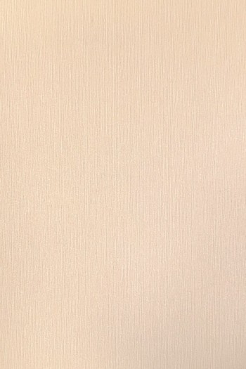 کاغذ دیواری قابل شستشو عرض 50 متفرقه آلبوم فلای کد F98302