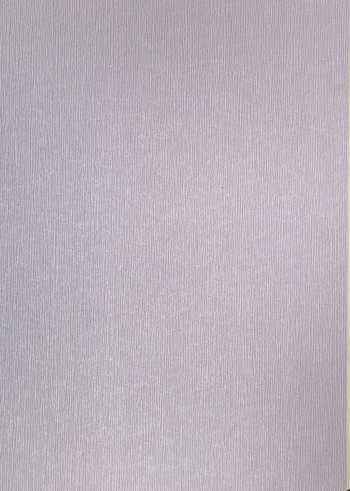 کاغذ دیواری قابل شستشو عرض 50 متفرقه آلبوم فلای کد F98305