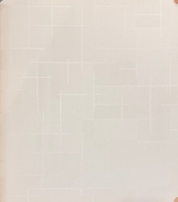 کاغذ دیواری قابل شستشو عرض 50 متفرقه آلبوم فلای کد F98401