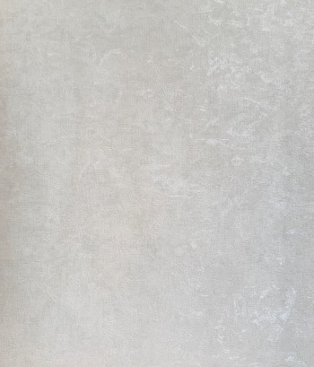 کاغذ دیواری قابل شستشو عرض 50 متفرقه آلبوم فلای کد F98501