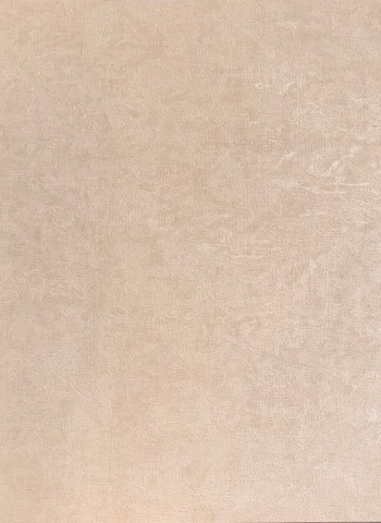 کاغذ دیواری قابل شستشو عرض 50 متفرقه آلبوم فلای کد F98502