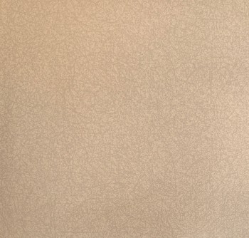 کاغذ دیواری قابل شستشو عرض 50 متفرقه آلبوم لندن کد 20196