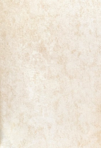کاغذ دیواری قابل شستشو عرض 50 متفرقه آلبوم نویگیتور کد 166111