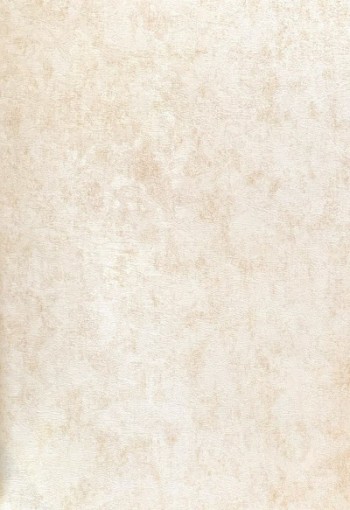 کاغذ دیواری قابل شستشو عرض 50 متفرقه آلبوم نویگیتور کد 166111-F