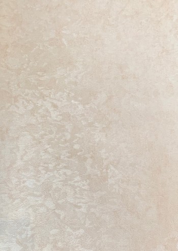 کاغذ دیواری قابل شستشو عرض 50 متفرقه آلبوم نویگیتور کد 166113