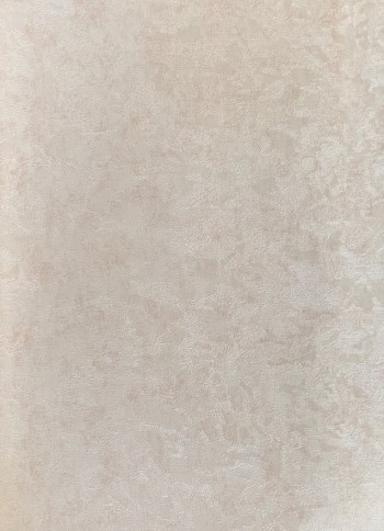 کاغذ دیواری قابل شستشو عرض 50 متفرقه آلبوم نویگیتور کد 166114