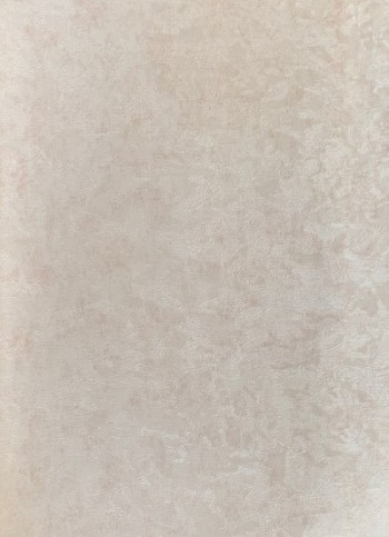 کاغذ دیواری قابل شستشو عرض 50 متفرقه آلبوم نویگیتور کد 166114-F