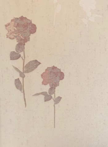 کاغذ دیواری قابل شستشو عرض 50 D&C آلبوم روزتا کد 1515-F