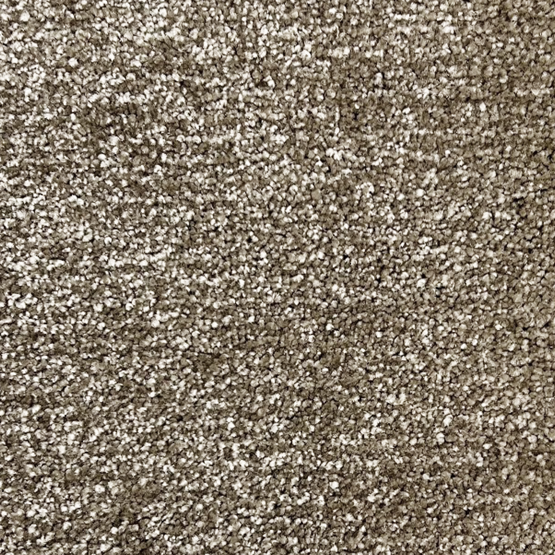 موکت پالاز آلبوم نیکاس کد 5726